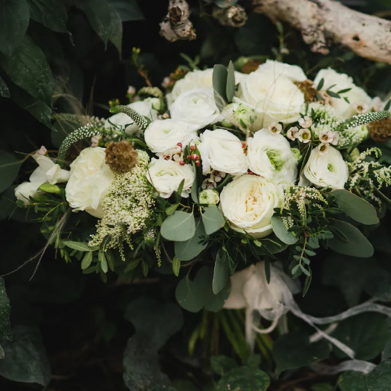 Vowly New Zealand Wedding Photography and Video. Professional wedding photography and videography based in Queenstown, Wanaka, and Christchurch. Capturing natural, candid moments and stunning destination elopements available South Island-wide.
