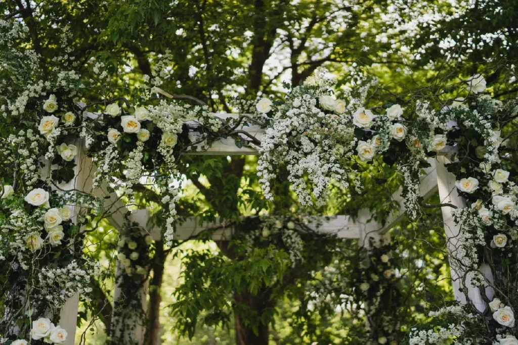 Vowly New Zealand Wedding Photography and Video. Professional wedding photography and videography based in Queenstown, Wanaka, and Christchurch. Capturing natural, candid moments and stunning destination elopements available South Island-wide.