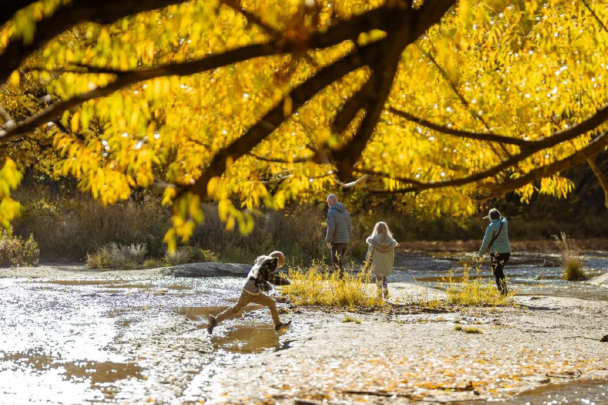 Arrowtown is a picturesque, historic gold-mining town in Otago, New Zealand, nestled on the banks of the Arrow River.