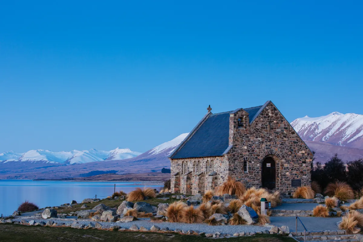 A romantic couple walking through a field of vibrant purple lupins in Lake Tekapo, a quintessential South Island wedding photography location.