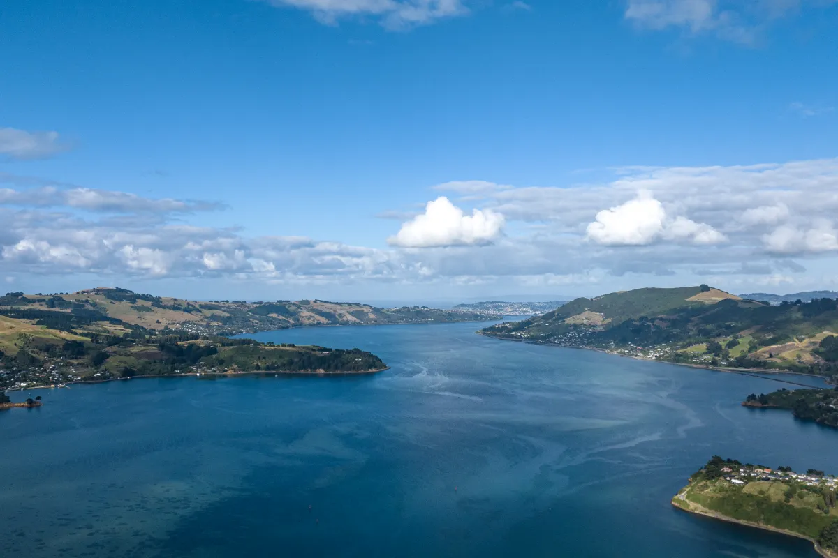 A wide-angle aerial view of the deep blue waters and rolling green hills of the Otago Peninsula under a bright blue sky.